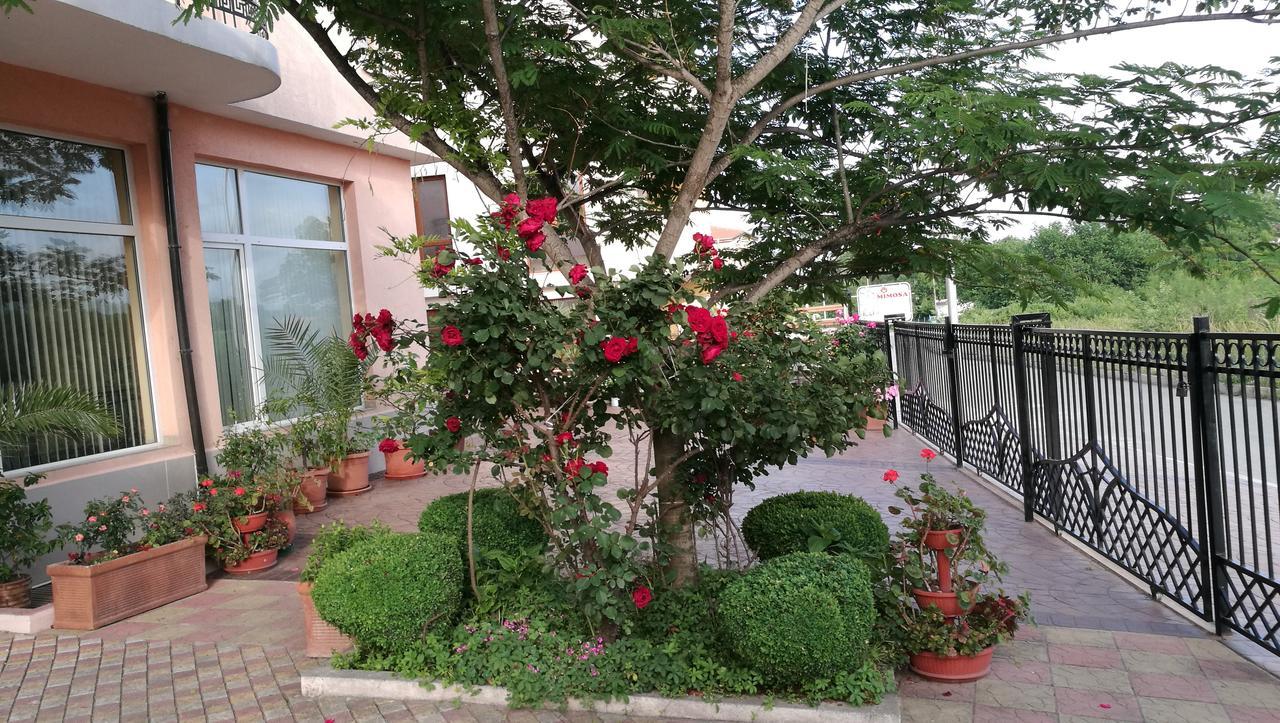 Family Hotel Mimosa Царёво Экстерьер фото